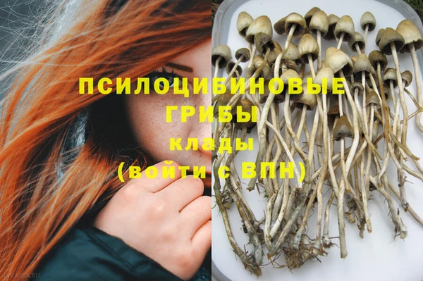 дурь Алексин